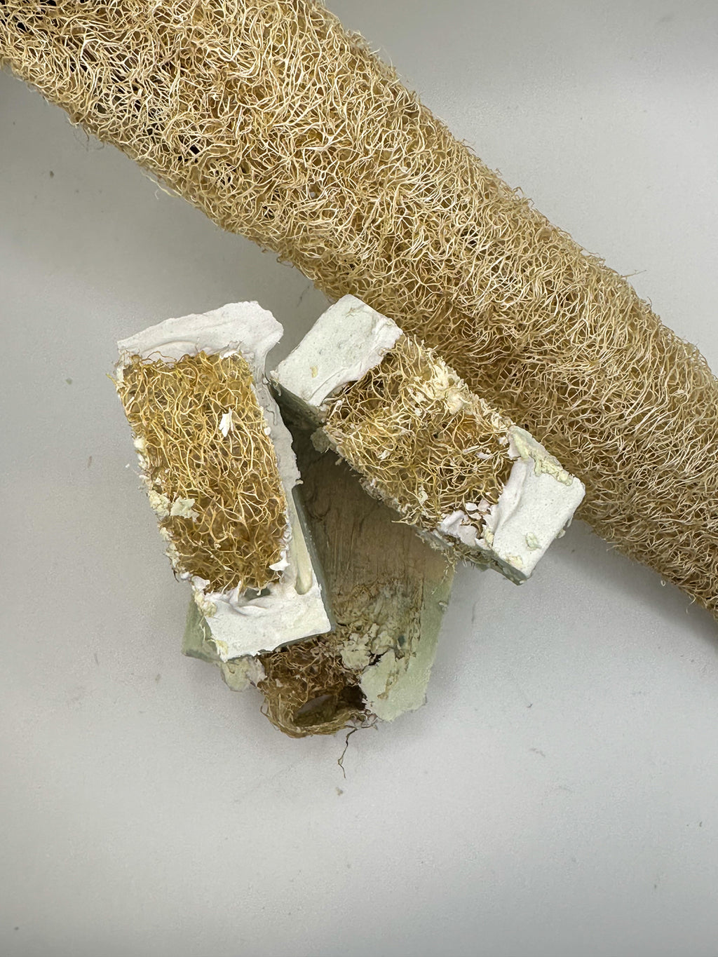 Coconut Lime Verbena Luffa Goat's Milk Soap