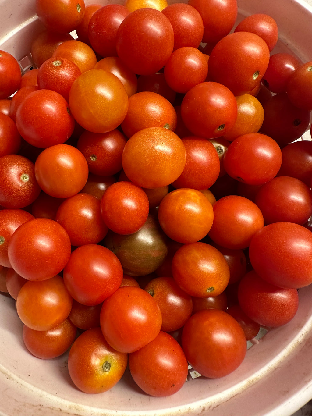 Cherry Tomatoes