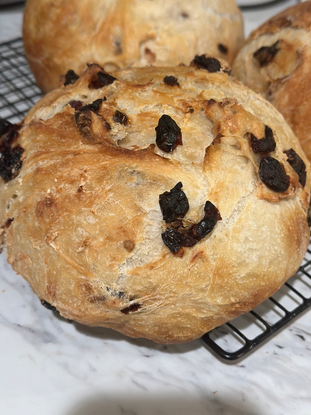 Artisan Yeast Boule