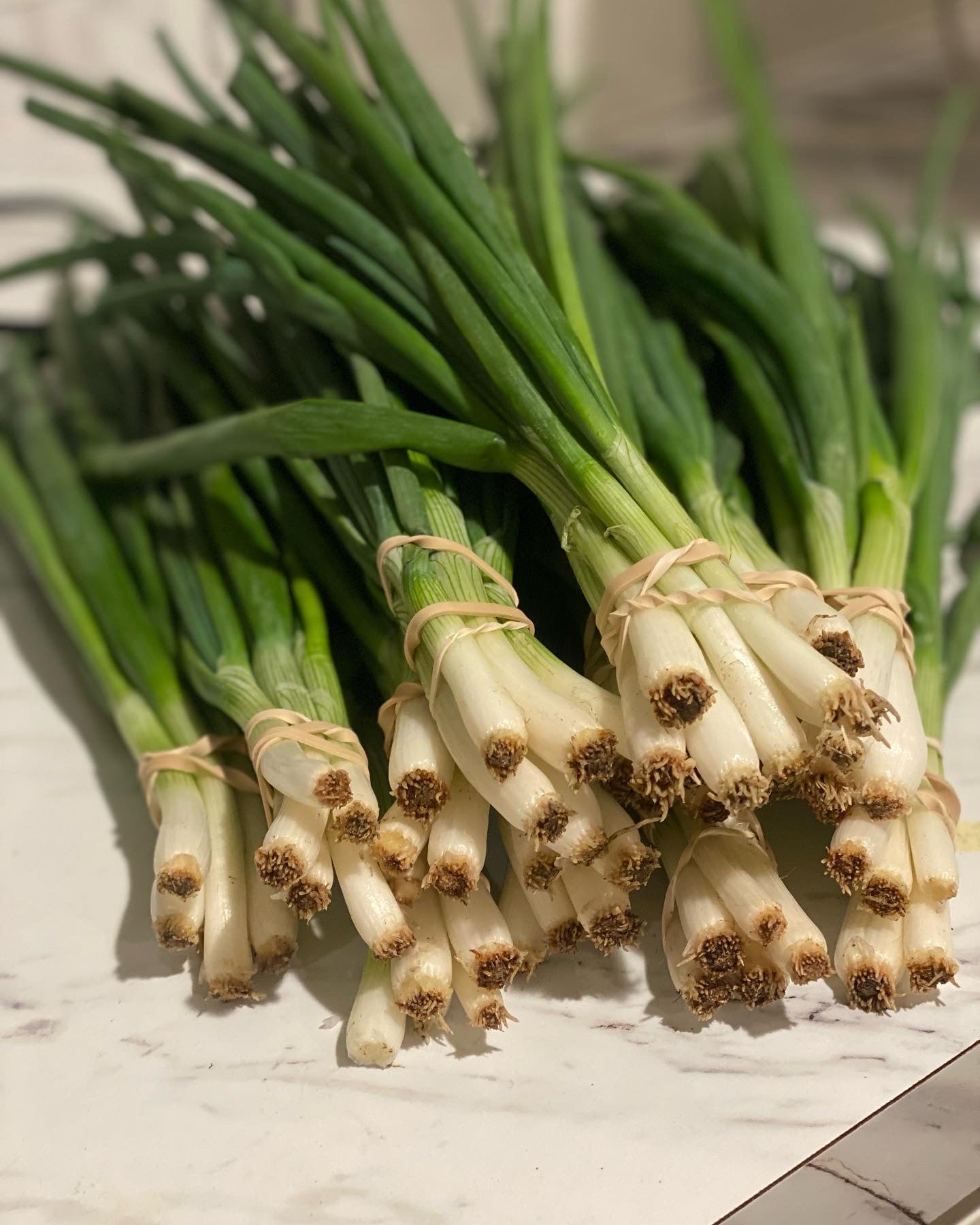 Green Onions