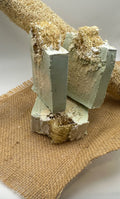 Coconut Lime Verbena Luffa Goat's Milk Soap
